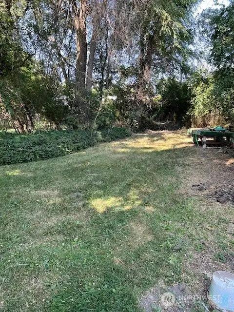 Yard area