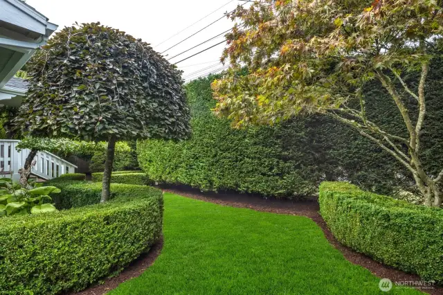 Yard