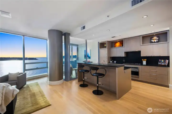 Chef's kitchen with high end appliances