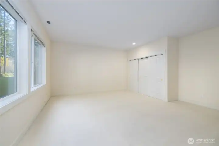 Lower level bedroom