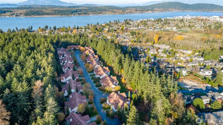 Adjacent to the Anacortes Forrest Lands and Trails