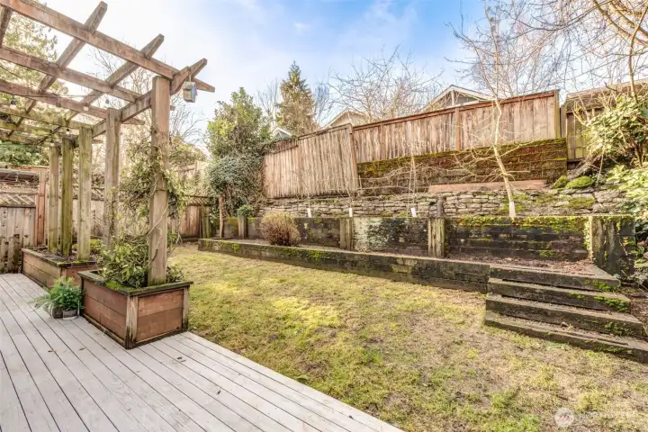 Lots of opportunity for gardening in this space. Fruit trees are planted on the upper terrace.