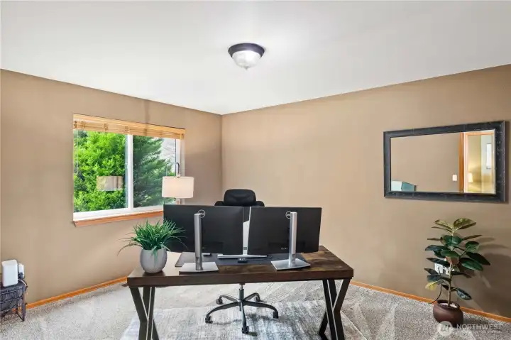 Main Floor Bedroom #2