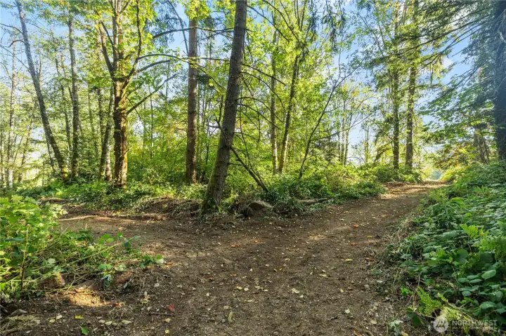 Over 3 Acres of Trails for Exploring/Dirt Bikes/ 4 Wheeling