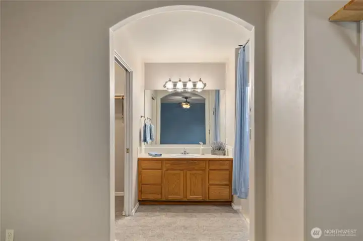 Vanity and Dressing area. Walk in Closet is to the left and Soaking Tub and Toilet Room to the right.