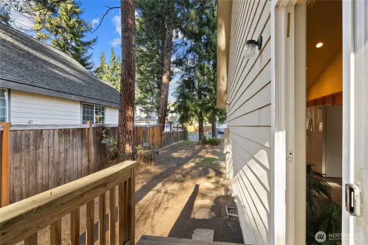 View from back porch.