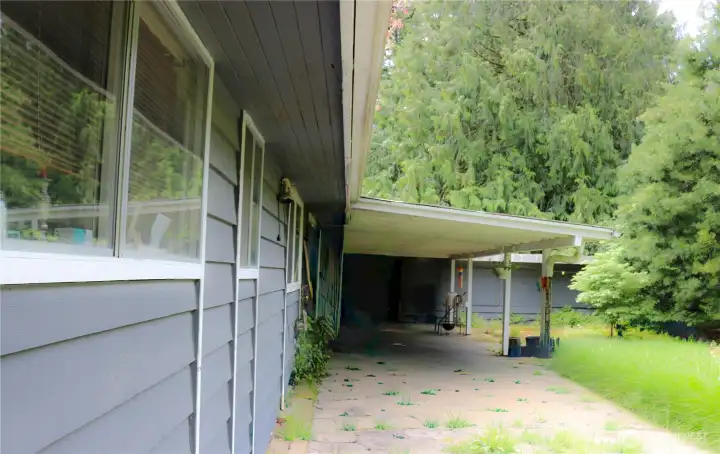 large back yard