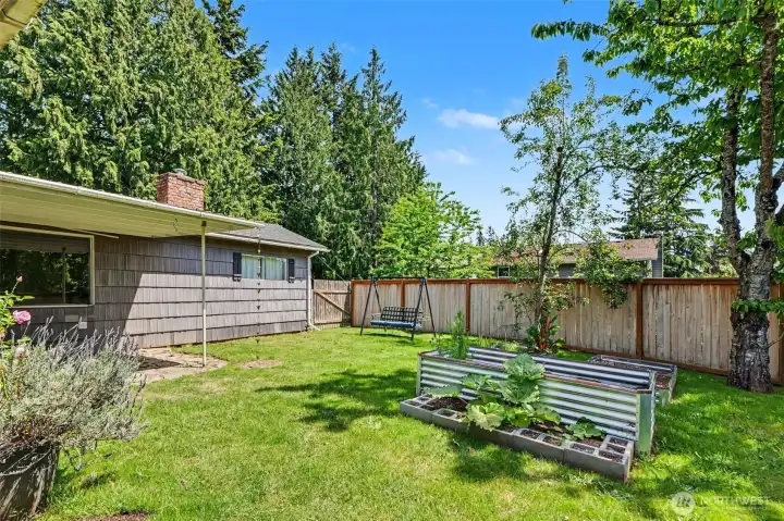 Serene, enclosed backyard enhanced by mature pear and cherry trees and thoughtfully designed raised garden beds.