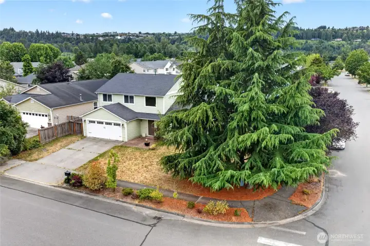 Large corner lot.