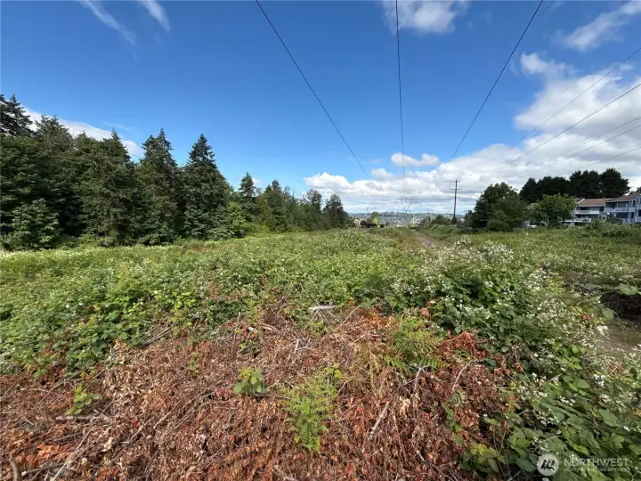 Photos from N side of property