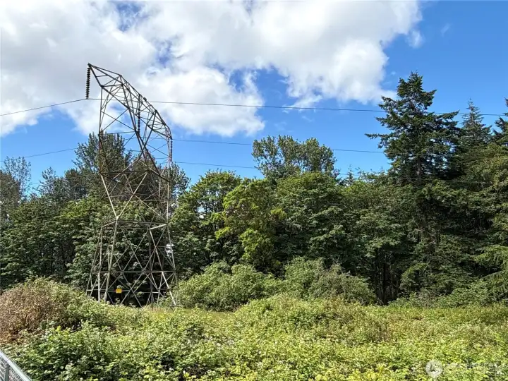 Photos from N side of property