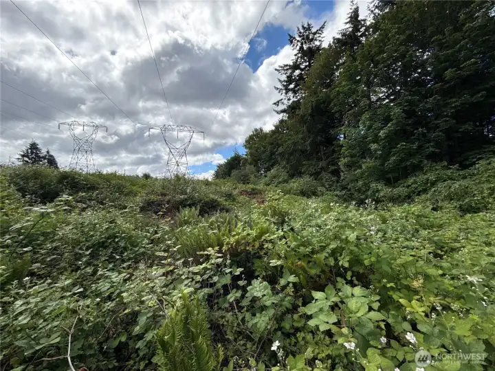 Photos from N side of property