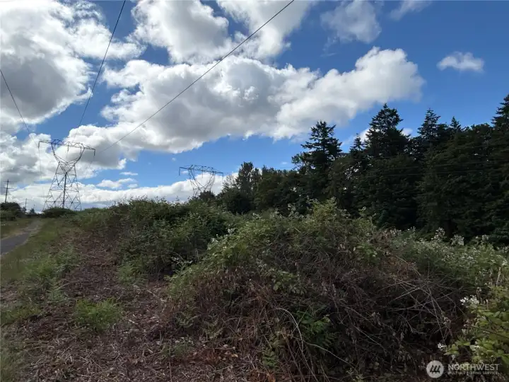 Photos from N side of property