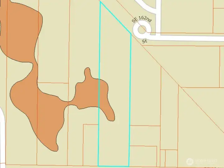 Aerial_1_Freshwater Forested/Shrub Wetland Potential