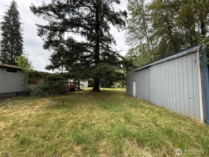 Backyard area