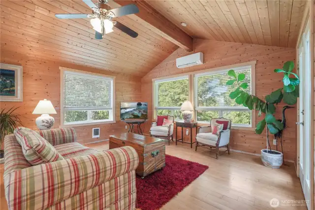 Living Room features door to patio, several windows and a mini split heat pump for efficient heating and cooling