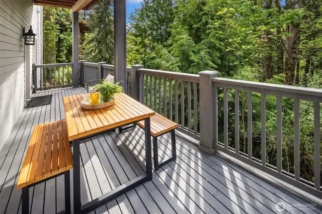Lower level deck.  Peaceful spot to enjoy the nature's bounty.