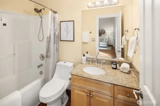Lower level full bath
