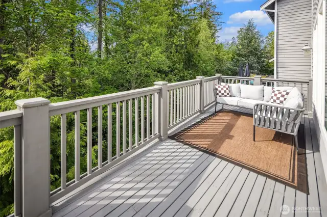 Sunlit Deck perfect spot for morning coffee or evening entertaining.