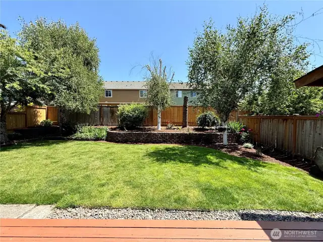 More of the backyard.