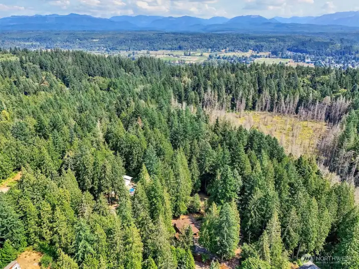 Property is located adjacent to the Tolt-MacDonald Park near Ames Lake & Snoqualmie Valley.