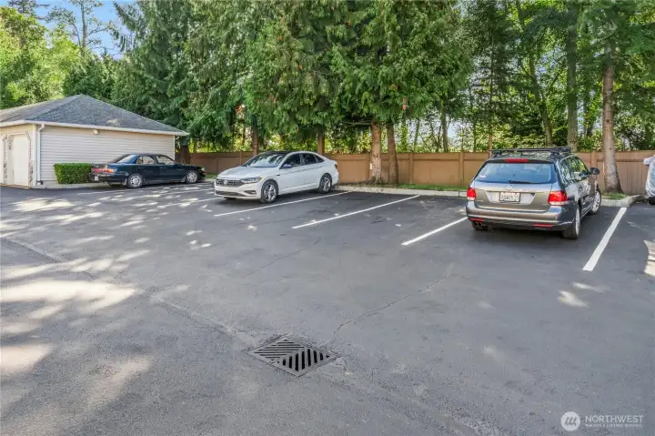 Plenty guest parking spots in front of unit