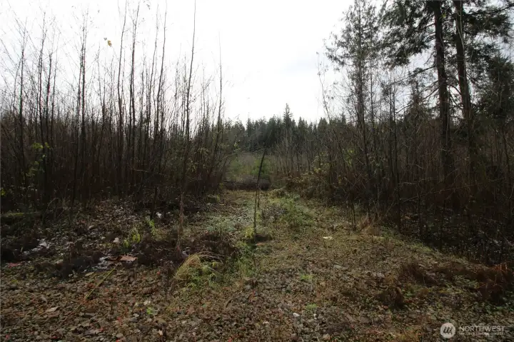 5 acre lot on Taylor Mountain Maple Valley