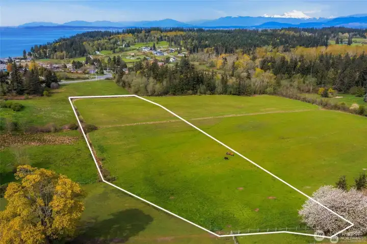 Addditional 5.05 acre parcel/building lot