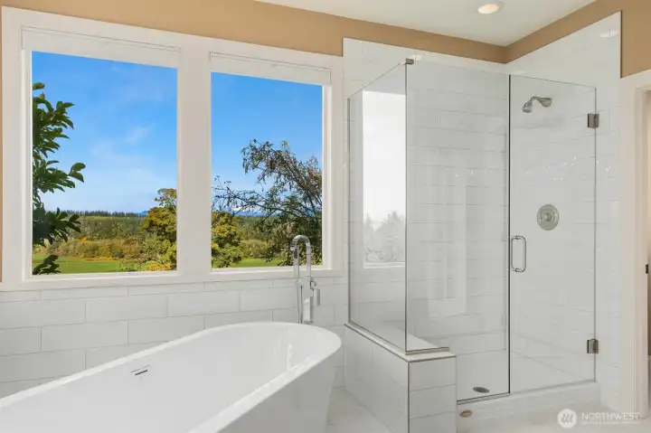 Master Bath Shower and Tub
