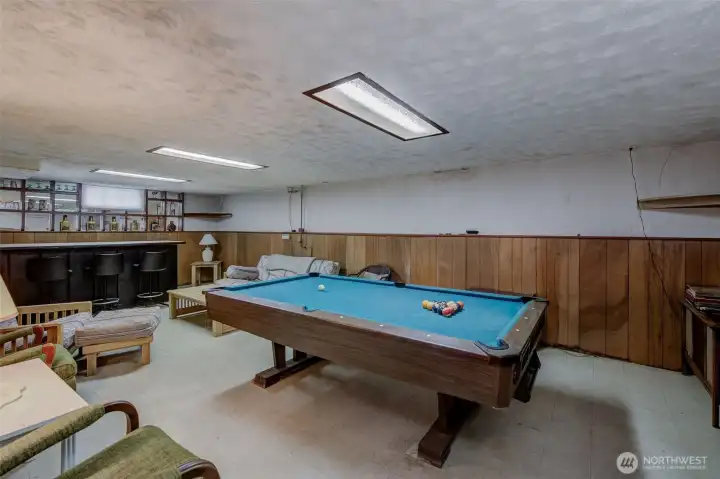 Massive rec room in lower level