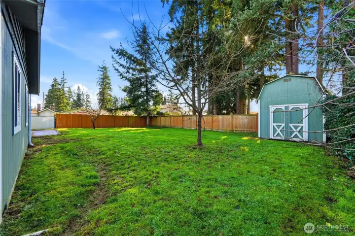 Fruit trees ready for spring!