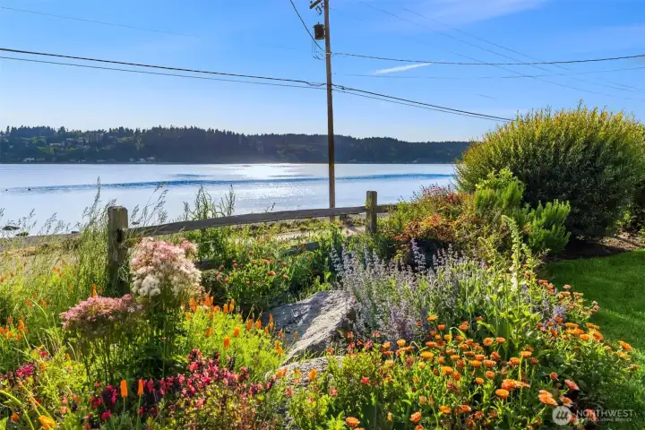 The beautiful grounds provide a wonderful vista and they also add a nice buffer between the house and the road. The beautiful grounds provide a wonderful vista and they also add a nice buffer between the house and the road.