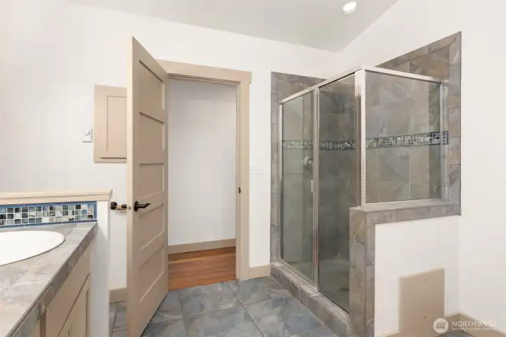 The oversized primary shower. The oversized primary shower.