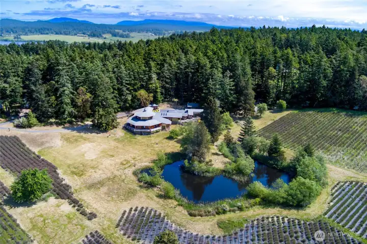 9+ acrea, was main home of the Lavendar Farm