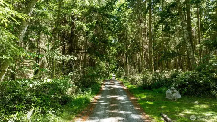 The property spans five acres with a small portion on the north side of the road.