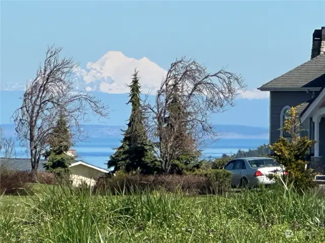 Mount Baker close-up from front of yard.