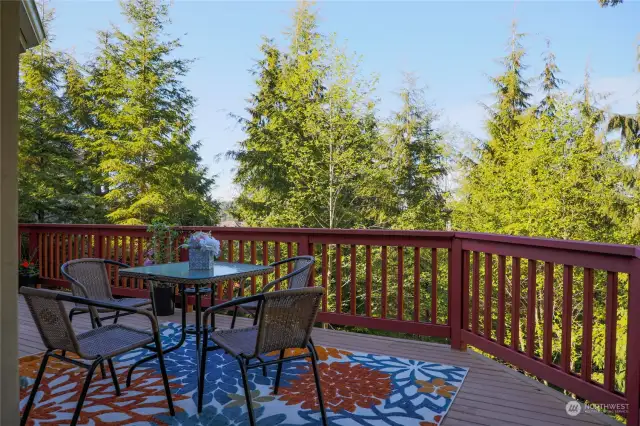 Private, territorial views of your expansive backyard, this area is so extraordinary!