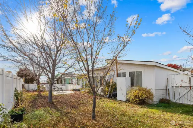 So much potential back here with the fully fenced back yard. The lilacs & roses will be excited to see you in the spring.