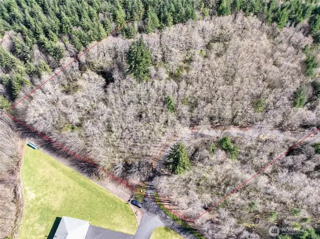 Property line