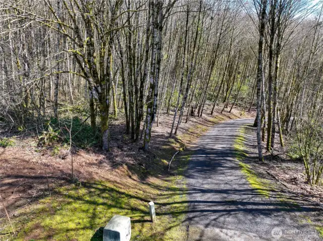 Nicely maintained road to property