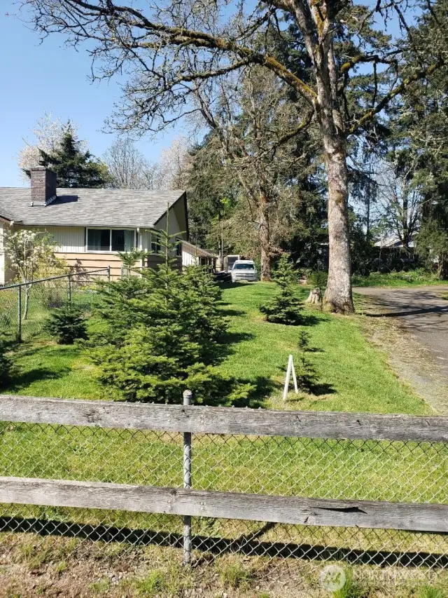 Side Yard