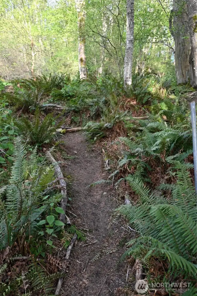 A path leads to the level area with a fire pit and partial sunset view over the water.