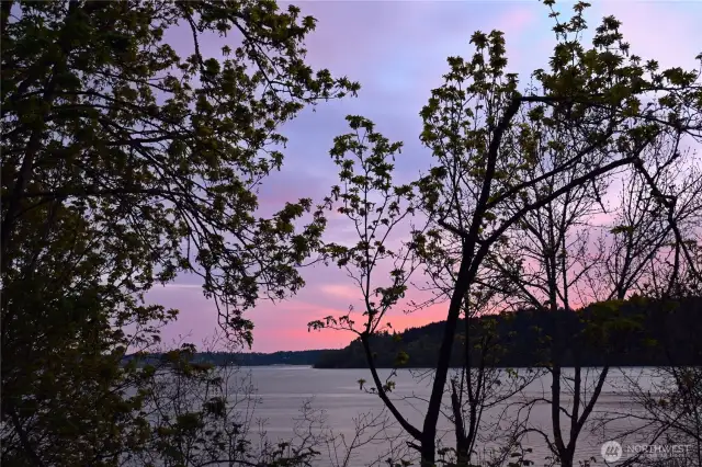 Beautiful sunset views are filtered through the trees.
