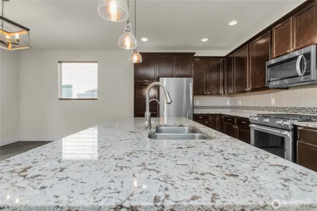A spacious kitchen with granite countertops, stainless appliances, including a premium KitchenAid gas range whisper quiet dishwasher, microwave range hood and refrigerator for the chef at heart. The pantry has pull out racks for easy access to everything. A triple filtered water dispenser at the kitchen sink for ultra clean water.