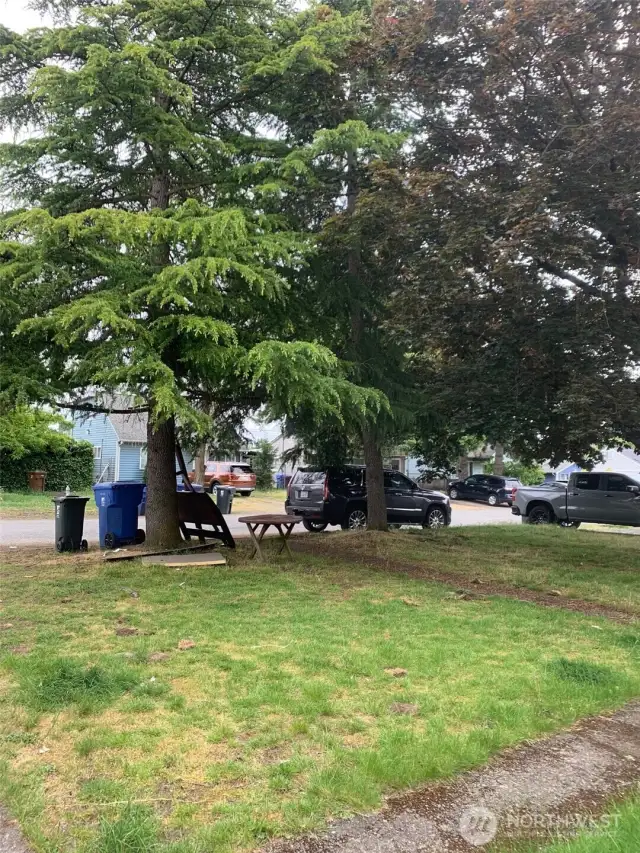 Front Yard