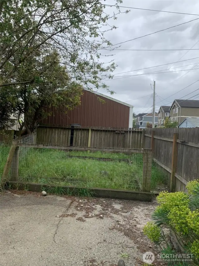 Back Yard facing south