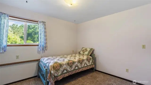 Bedroom #4 - Basement