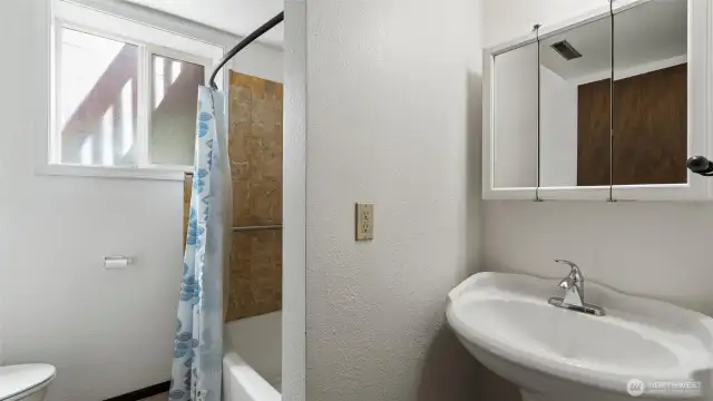 Bathroom #2 - Basement