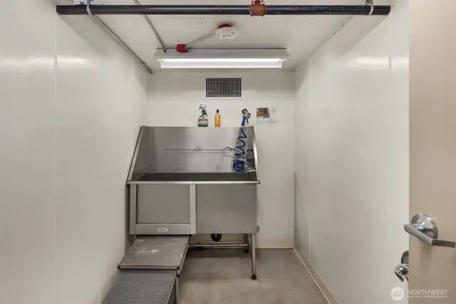 DIY Dog Wash on site