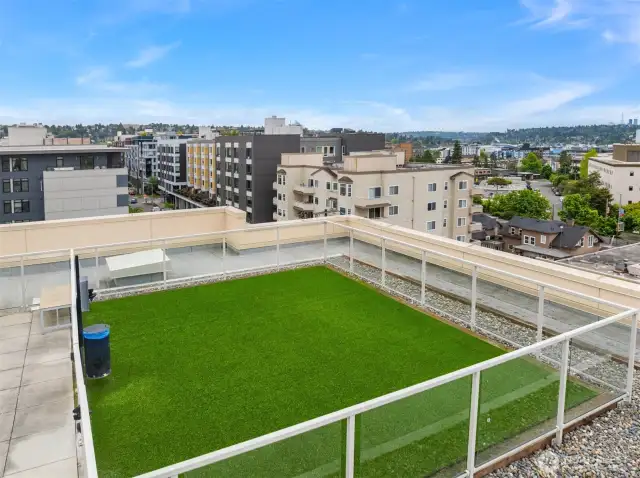 Roof top dog park